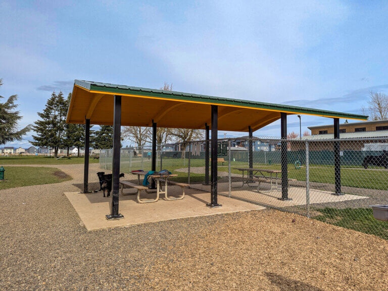 Shelter structure at a dog park